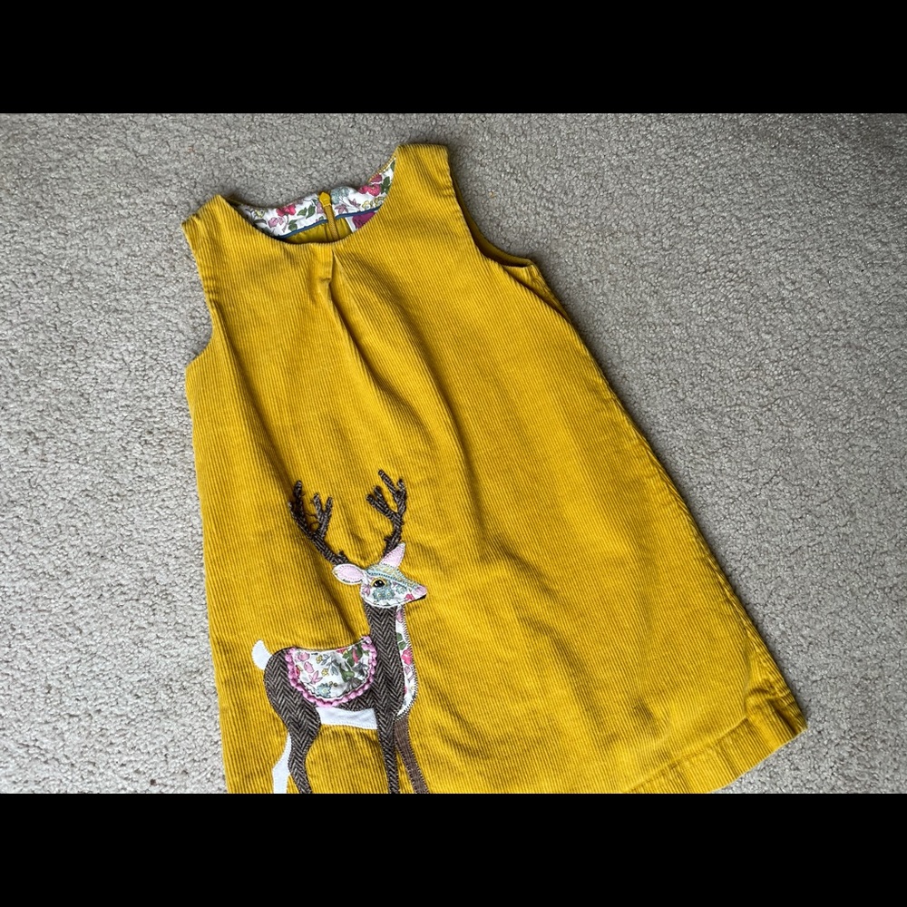 Girl’s Dress